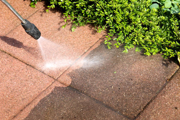 Best Roof Pressure Washing  in Callahan, FL
